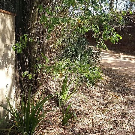 Sítio Alvorada - Paraíso localizado no Circuito das Águas Paulista Amparo  Exterior foto