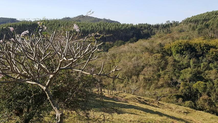 Sítio Alvorada - Paraíso localizado no Circuito das Águas Paulista Amparo  Exterior foto